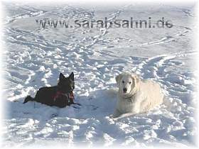 Der Schnee ist herrlich!