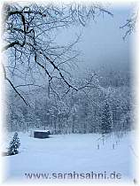 Winterlandschaft  Ruhpolding (Urschlau)