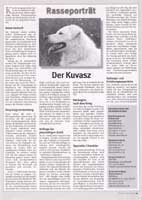 Bild "KUVASZ:derhund1pre.jpg"