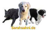 Bild "Sarahsahni-3Hunde-Logo_160x97.jpg"