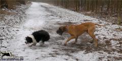 img2011-02-24_004_buttonjoy.jpg