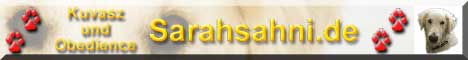 Bild "DIES und DAS:SarahBanner1.jpg"