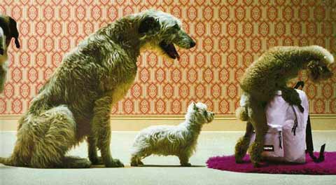Bild "FUN:010_D.jpg"