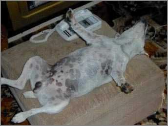 Bild "FUN:012_D.jpg"