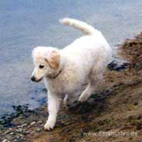 Bild "FUN:F002-019.jpg"