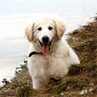 Bild "FUN:F003-011b.jpg"