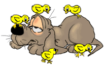Bild "FUN:a-bloodhound10.gif"