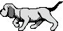 Bild "FUN:hund0080.gif"