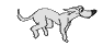 Bild "FUN:hund0120.gif"