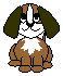 Bild "FUN:hund0140.gif"