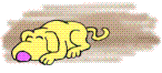 Bild "FUN:hund0160.gif"