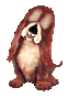 Bild "FUN:hund0180.gif"