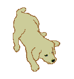 Bild "FUN:hund0220.gif"