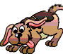 Bild "FUN:hund0240.gif"