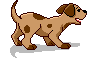 Bild "FUN:hund0250.gif"