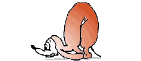 Bild "FUN:hund0270.gif"