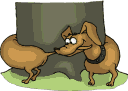 Bild "FUN:hund0280.gif"