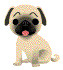 Bild "FUN:hund0310.gif"