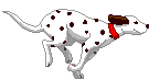 Bild "FUN:hund0330.gif"