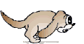Bild "FUN:hund0340.gif"