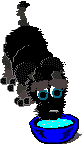 Bild "FUN:hund0370.gif"