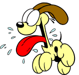 Bild "FUN:hund0380.gif"