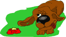 Bild "FUN:hund0520.gif"