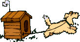 Bild "FUN:hund0550.gif"