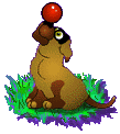 Bild "FUN:hund0570.gif"