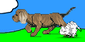 Bild "FUN:hund0580.gif"