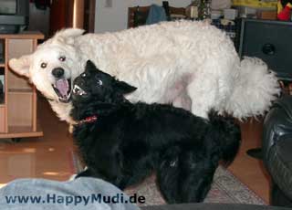 Bild "RATGEBER:Moppel-Sarah-Zaehne-320.jpg"