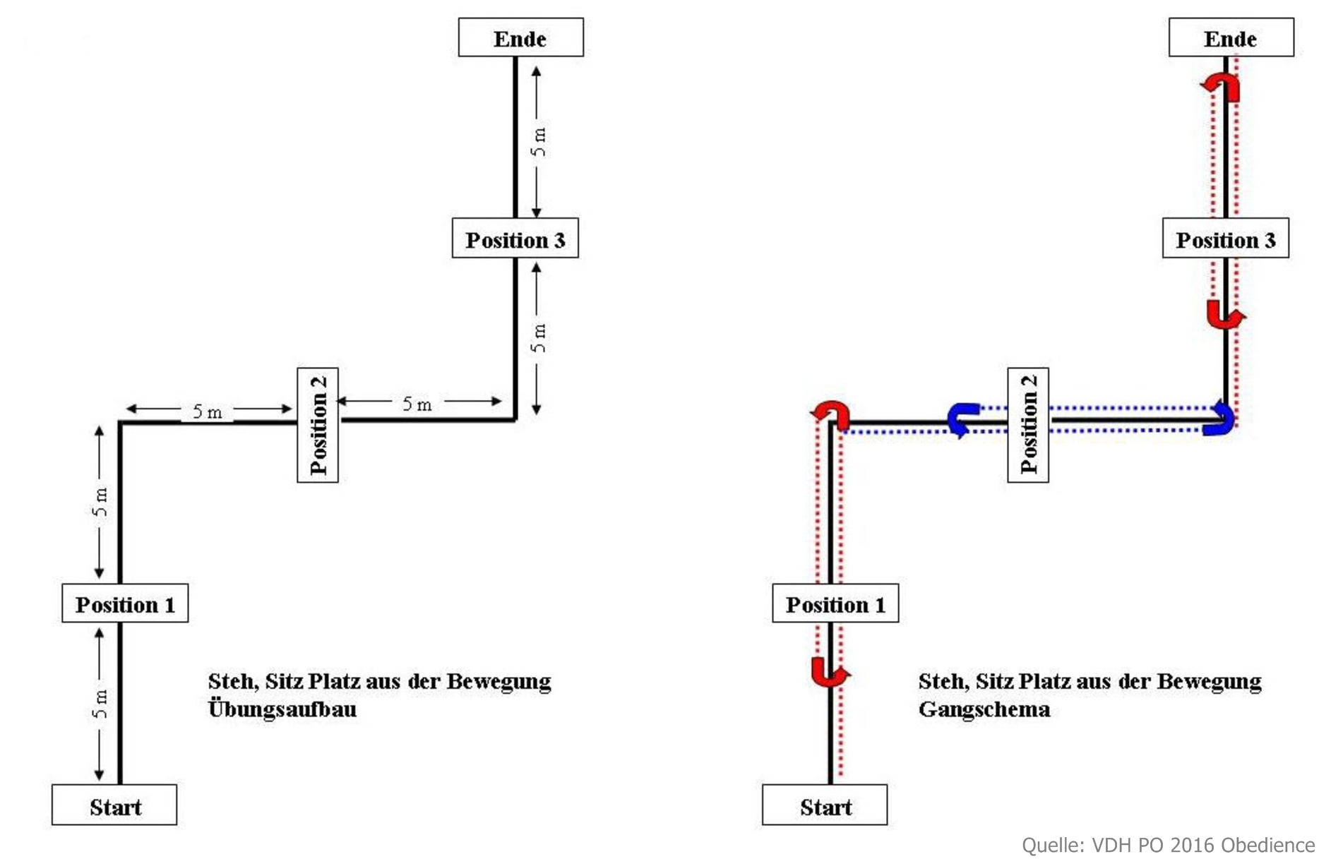 Bild "OBEDIENCE:OB-PO2016_OB3-Blitz.jpg"