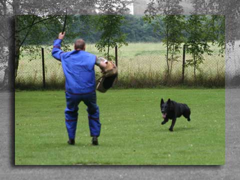 Bild "VPG_IMG004.jpg"