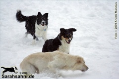 Bild "IMG2009-12-20_136_B_pre.jpg"