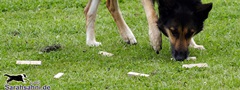 Bild "HILFSMITTEL:Sarahsahni-OB-Seminare_07.jpg"