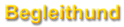 Bild "SARAHSAHNI intern:B_Begleithund.gif"