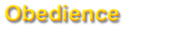 Obedience - die "Hohe Schule des Gehorsams"