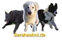 Bild "Logo-3Hunde-2010_200x.png"