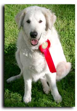 Bild "INTERN:Sarah-OB-Schleife-V-150504.jpg"