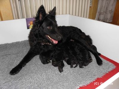 Bild "Cici_Tag6_18_low.jpg"