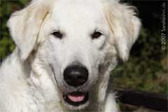 Bild "F_IMG2007-09-25_064pre.jpg"