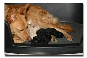 Bild "Gyongyi_IMG_8009_Sch_Low.jpg"