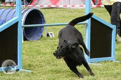 Bild "IMG2008-05-22_0042low.jpg"