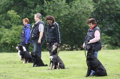 Bild "IMG2008-06-29_011_240x.jpg"
