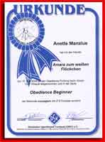 Bild "Urk-Sarah-OBBeginner-V150504pre.jpg"